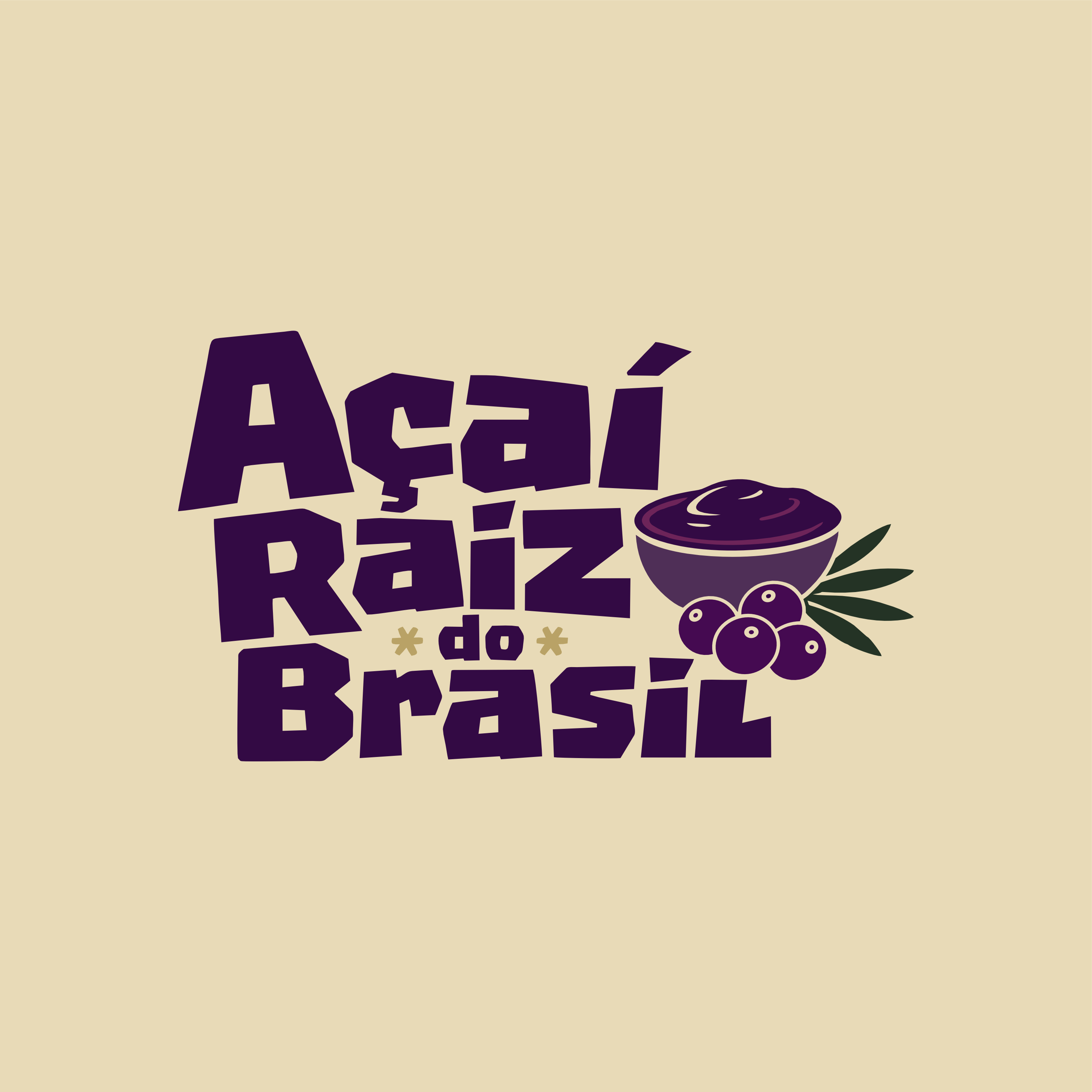 Açaí Raiz do Brasil